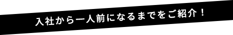 入社から一人前になるまでをご紹介！